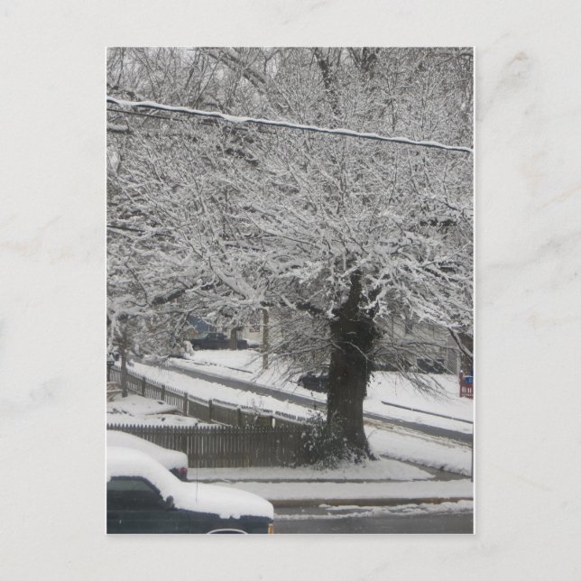 Cartão Postal Cena de Neve (Frente)