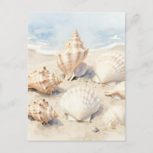Cartão Postal Cena de Praia de Conchas em Aquarela
