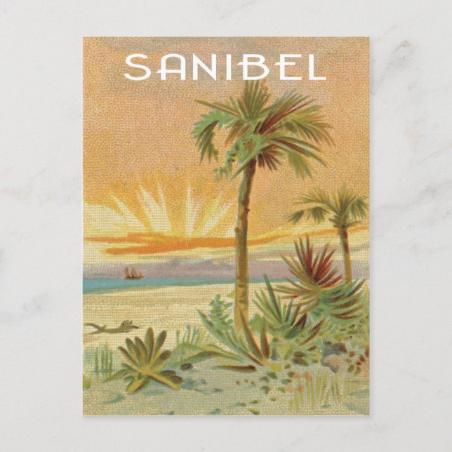 Cartão Postal Cena de praia de Sanibel Vintage (Frente)