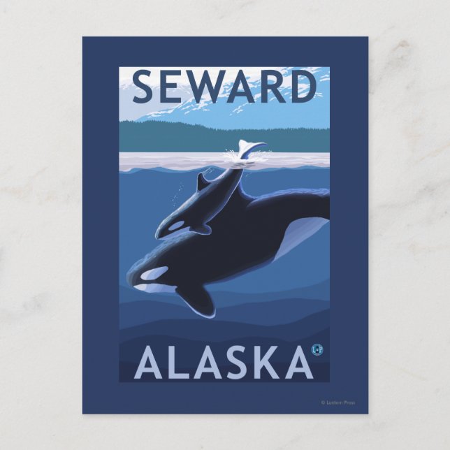 Cartão Postal Cena de Seward, AlaskaOrca e Calf (Frente)