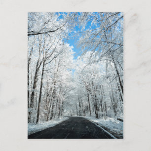 Cartão Postal Cena de Snowy Winter Road