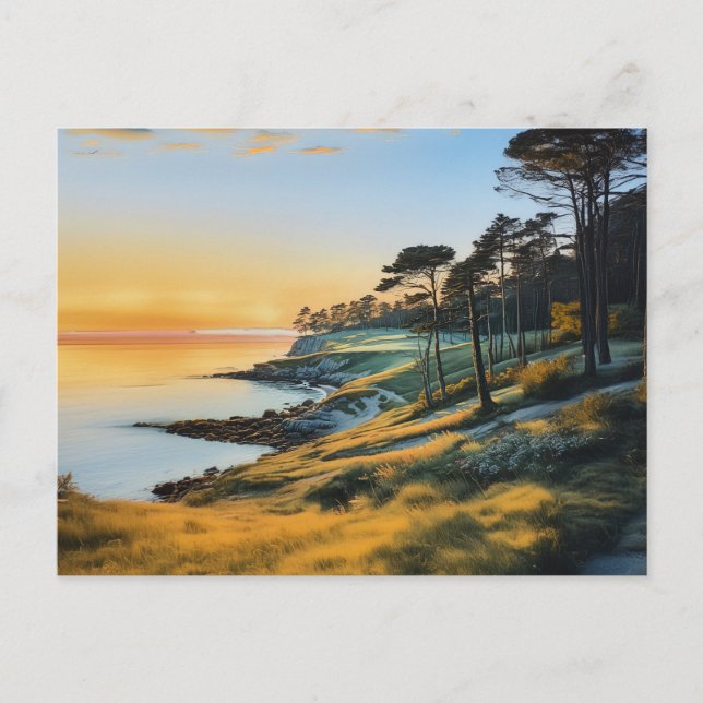 Cartão Postal Cena de sonho da Baía Buzzard (Frente)