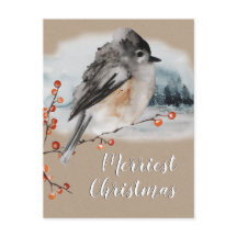 Cena de Woodrow Sparrow Ilex Berries Branch