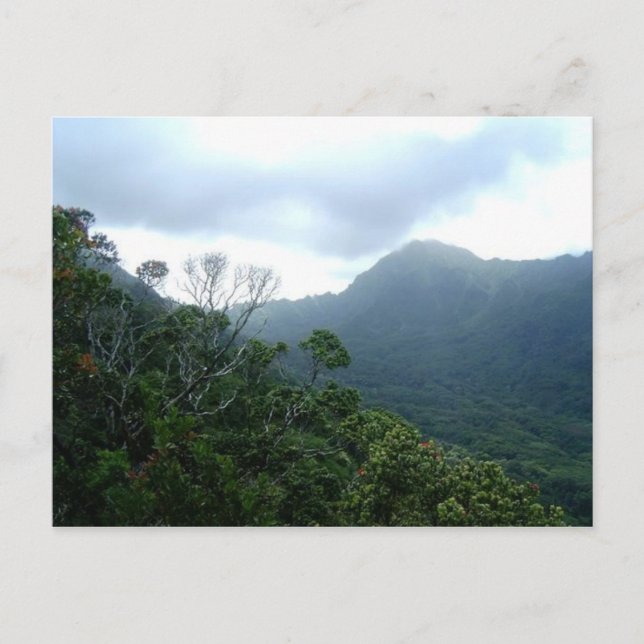 Cartão Postal Cena do Cartão-postal Havaí1 (Frente)