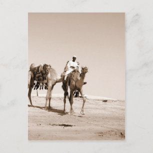 Cartão Postal Cena do Deserto