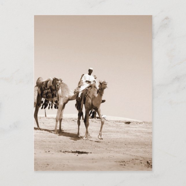 Cartão Postal Cena do Deserto (Frente)