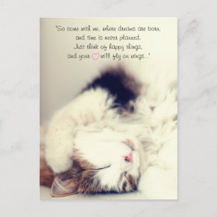 Cartão Postal Cena romântica do gato dormindo J.M. Barrie citaçã