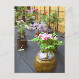 Cartão Postal Cenário do Japão [cartão postal]