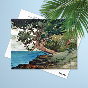 Cartão Postal Cenário Oceânico das Bermudas Winslow Homer
