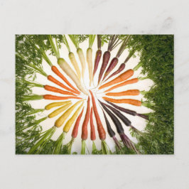 Cartão Postal Cenários de muitas cores