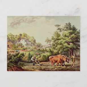 Cartão Postal Cenas americanas da fazenda