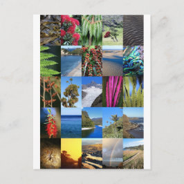 Cartão Postal Cenas da natureza de Kiwiana da Nova Zelândia