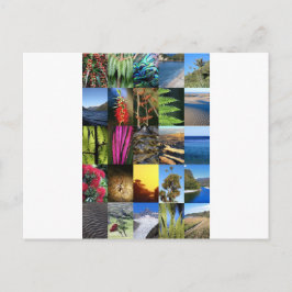 Cartão Postal Cenas da natureza Icônica Nova Zelândia Kiwiana