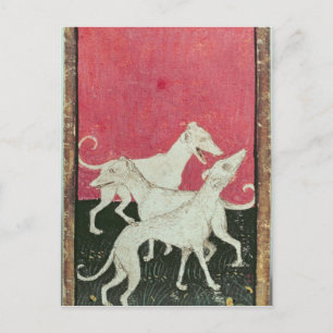 Cartão Postal Cenas de gaviões cortês