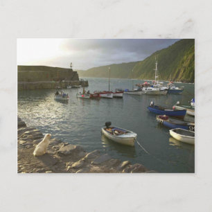 Cartão Postal Cenas de Inglês, Clovelly abriga Devon,
