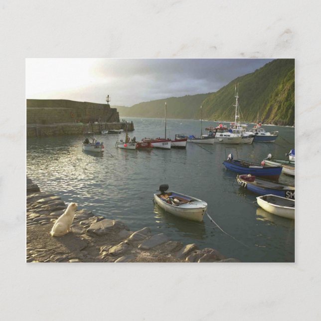 Cartão Postal Cenas de Inglês, Clovelly abriga Devon, (Frente)