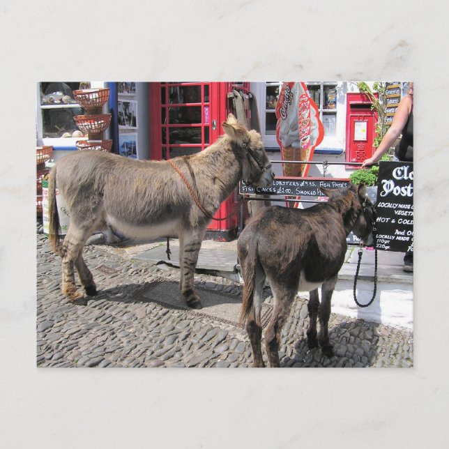 Cartão Postal Cenas de Inglês, Donkeys em Clovelly, Devon do Nor (Frente)