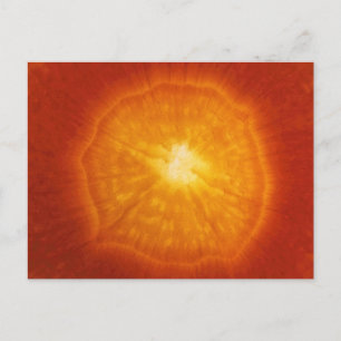 Cartão Postal Cenoura