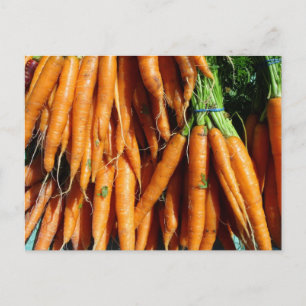Cartão Postal Cenoura Laranja de Colheita Fresca da Fazenda à Me