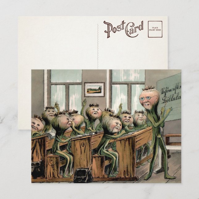 Cartão Postal Cenouras Antigas em Cartão-Postal Escolar  (Frente/Verso)