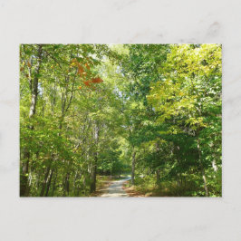 Cartão Postal Centenário Caminho Wooded I Natureza da Cidade Ell