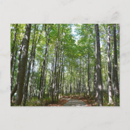 Cartão Postal Centennial Wooded Path II Ellicott City Maryland