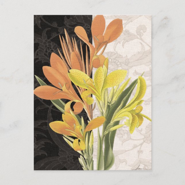 Cartão Postal Centerape I (Frente)