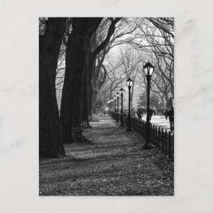 Cartão Postal Central Park em Nova Iorque