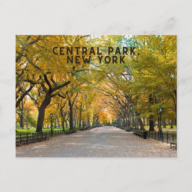 Cartão Postal Central Park, New York Postcard Souvenir (Frente)