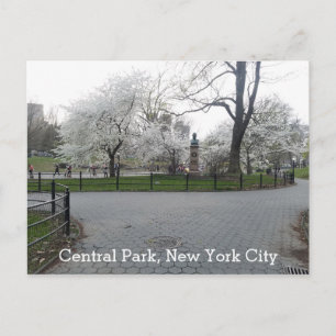 Cartão Postal Central Park New York Springtime Path com árvores