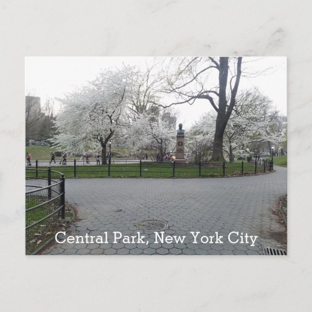 Cartão Postal Central Park New York Springtime Path com árvores (Frente)