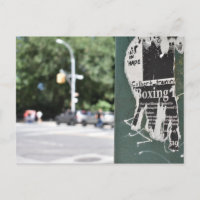 Central Park West NYC Boxer Flyer Fotografia