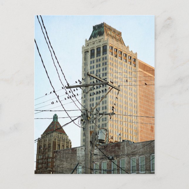 Cartão Postal Centro de Tulsa com Pássaros (Frente)