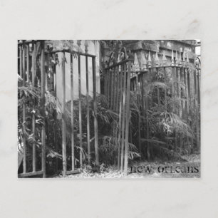 Cartão Postal Cerca Com Pio