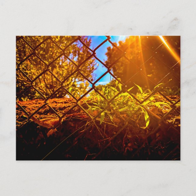 Cartão Postal Cerca de Elos com Reflexo Dramático da Luz Solar (Frente)