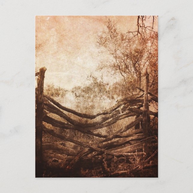 Cartão Postal Cerca rústica da fazenda da paisagem rural da (Frente)