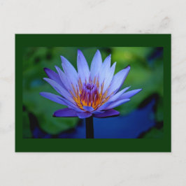 CARTÃO POSTAL CÉRECE FLORAL