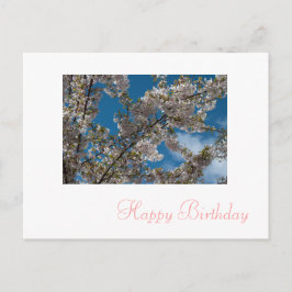 Cartão Postal cereja rosa flores floridas feliz aniversário