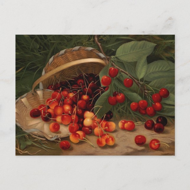 Cartão Postal Cerejas (Frente)