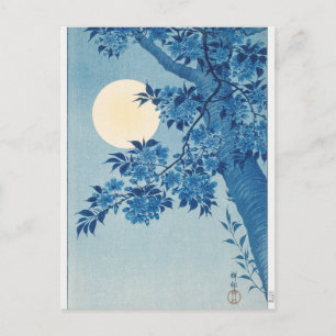 Cartão Postal Cerejeira em Flor numa Noite enluarada