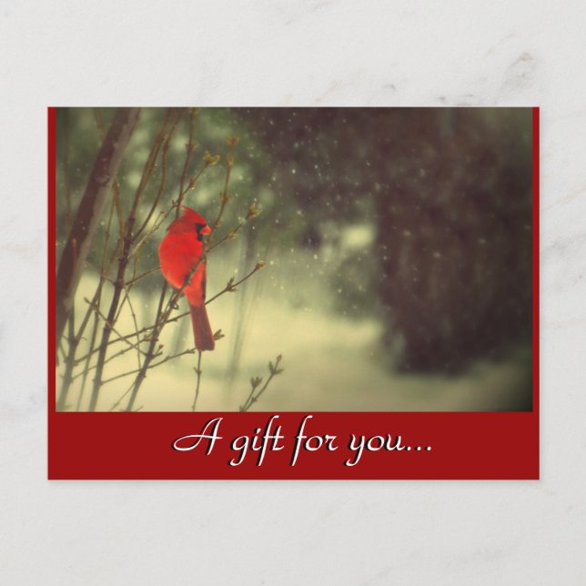 Cartão Postal Certificado de oferta de férias de cardeal (Frente)
