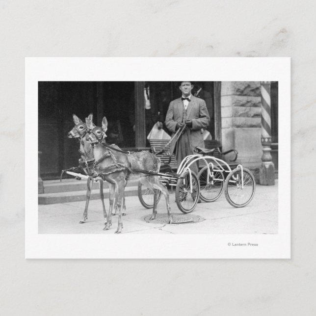 Cartão Postal Cerveja treinada, presa a uma saliência estranha n (Frente)