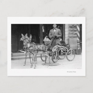 Cartão Postal Cerveja treinada, presa a uma saliência estranha n