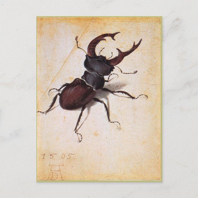 Cartão Postal Cervus Lucanus por Albrecht Durer (Frente)