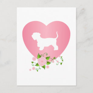 Cartão Postal Cesky Terrier