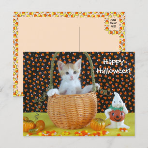 Cartão Postal Cesta de Halloween de Annie Cat /Kitten