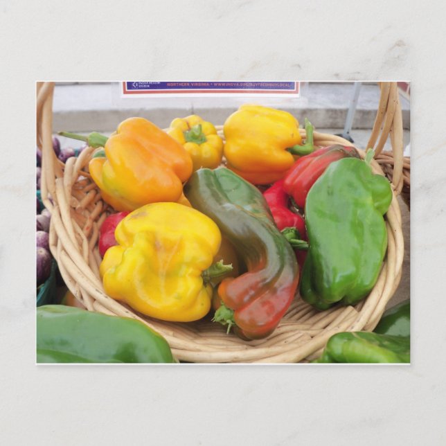 Cartão Postal Cesta de Pimenta (Frente)