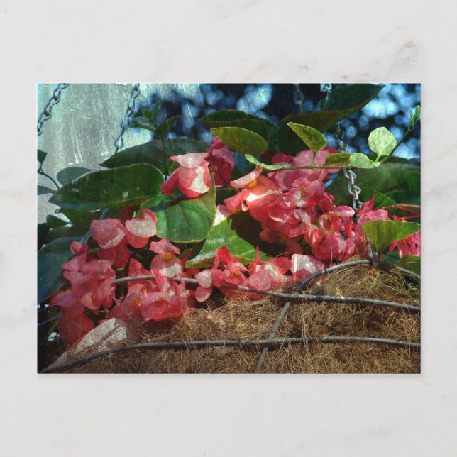 Cartão Postal Cesto de Flores (Frente)