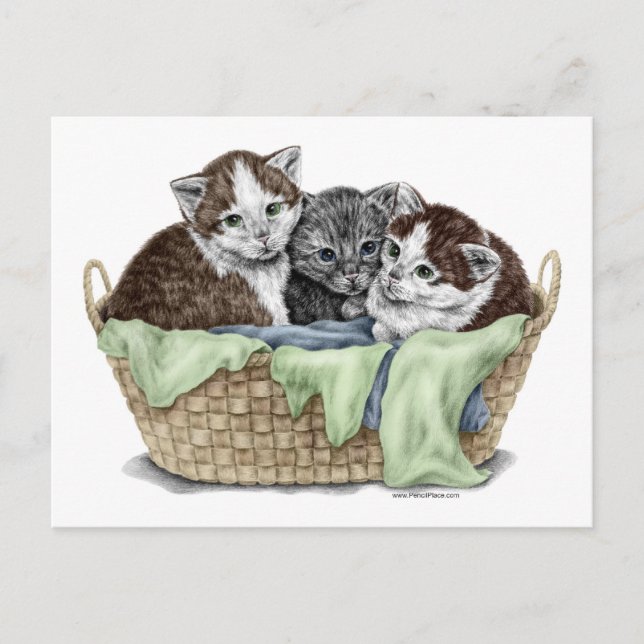 Cartão Postal Cesto de Gatinhos (Frente)