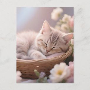 Cartão Postal Cesto Floral de Gatinho Sonolento Sonhador